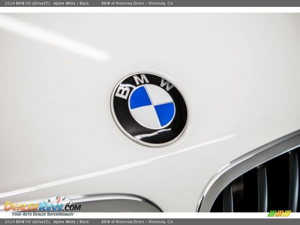 2014 BMW X6 xDrive35i Alpine White / Black Photo #30
