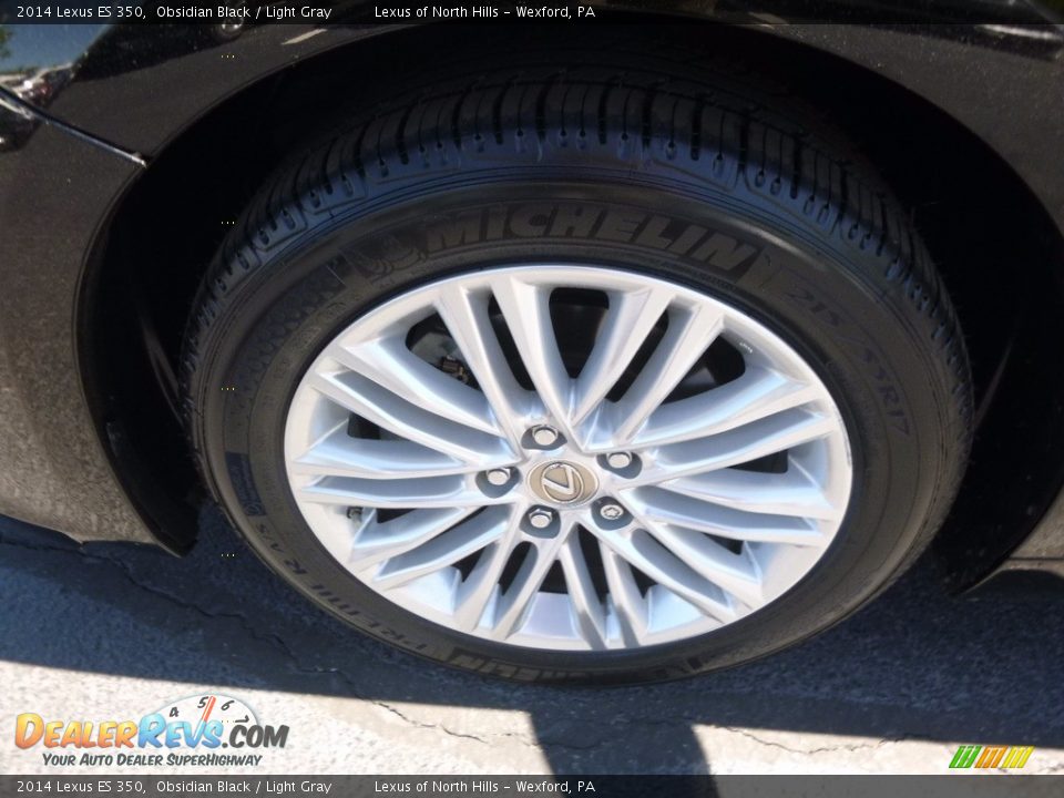 2014 Lexus ES 350 Obsidian Black / Light Gray Photo #5