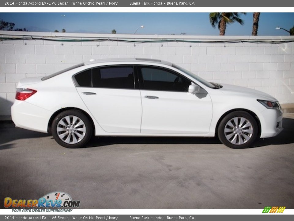 2014 Honda Accord EX-L V6 Sedan White Orchid Pearl / Ivory Photo #10