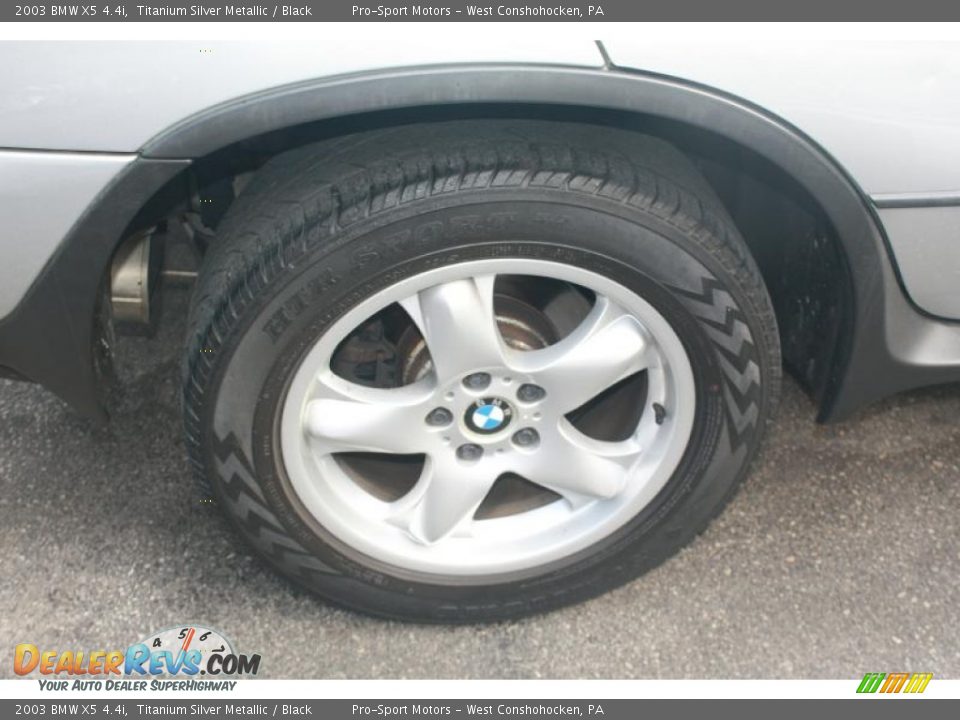 2003 BMW X5 4.4i Titanium Silver Metallic / Black Photo #15