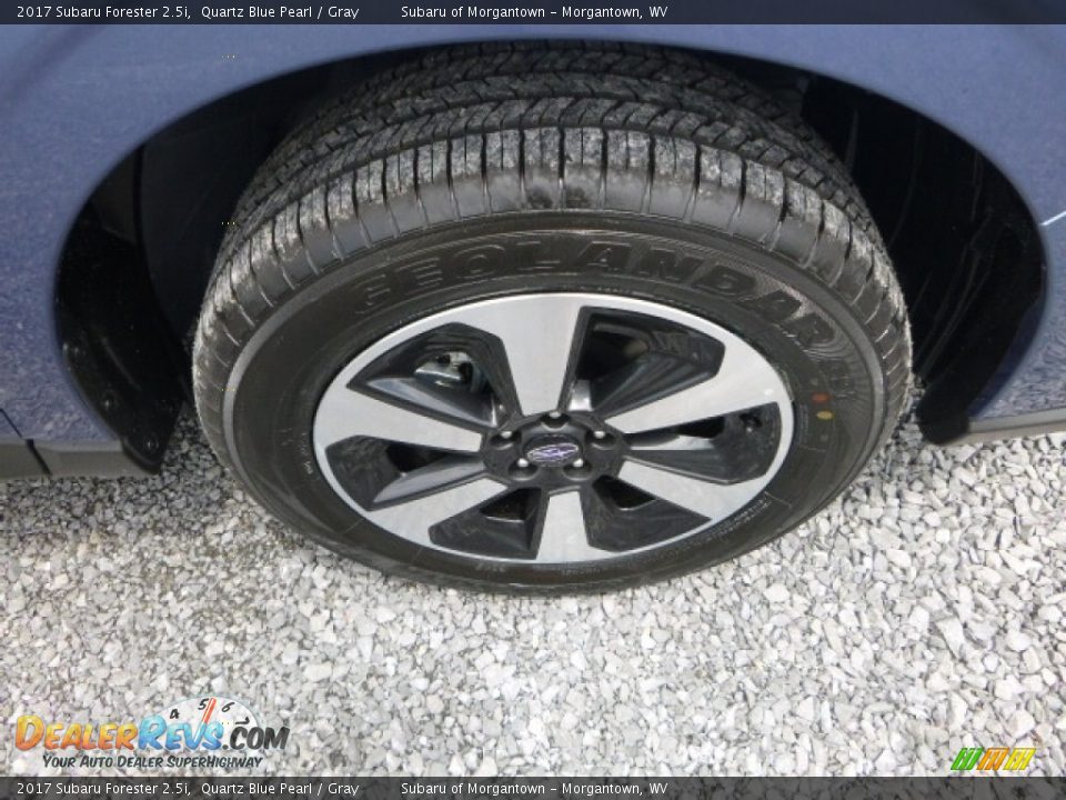 2017 Subaru Forester 2.5i Quartz Blue Pearl / Gray Photo #10