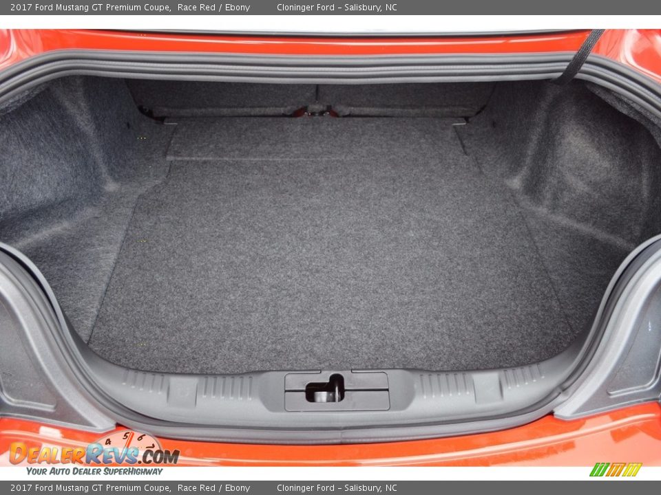 2017 Ford Mustang GT Premium Coupe Race Red / Ebony Photo #8