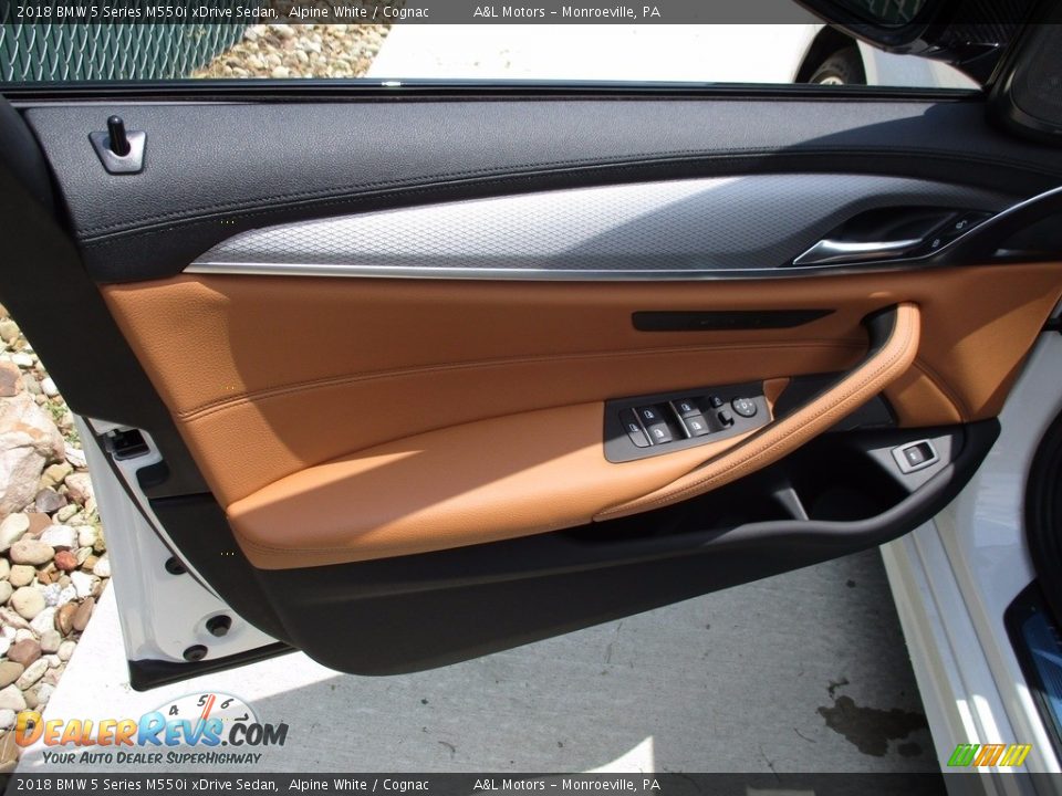 Door Panel of 2018 BMW 5 Series M550i xDrive Sedan Photo #9