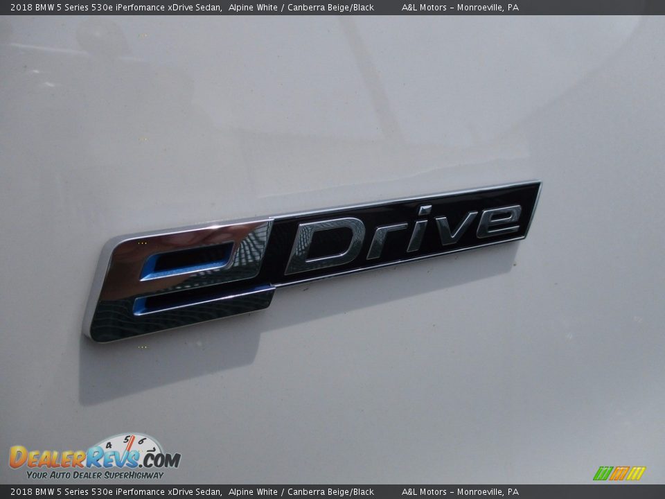 2018 BMW 5 Series 530e iPerfomance xDrive Sedan Logo Photo #14
