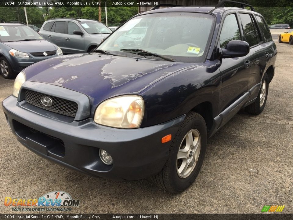 2004 Hyundai Santa Fe GLS 4WD Moonlit Blue / Gray Photo #10