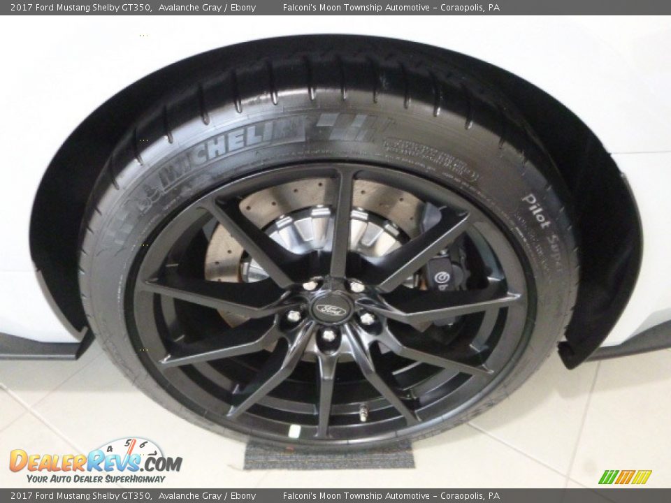 2017 Ford Mustang Shelby GT350 Avalanche Gray / Ebony Photo #8