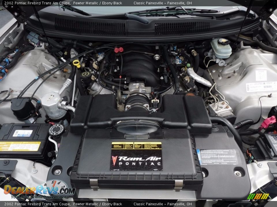 2002 Pontiac Firebird Trans Am Coupe Pewter Metallic / Ebony Black Photo #6