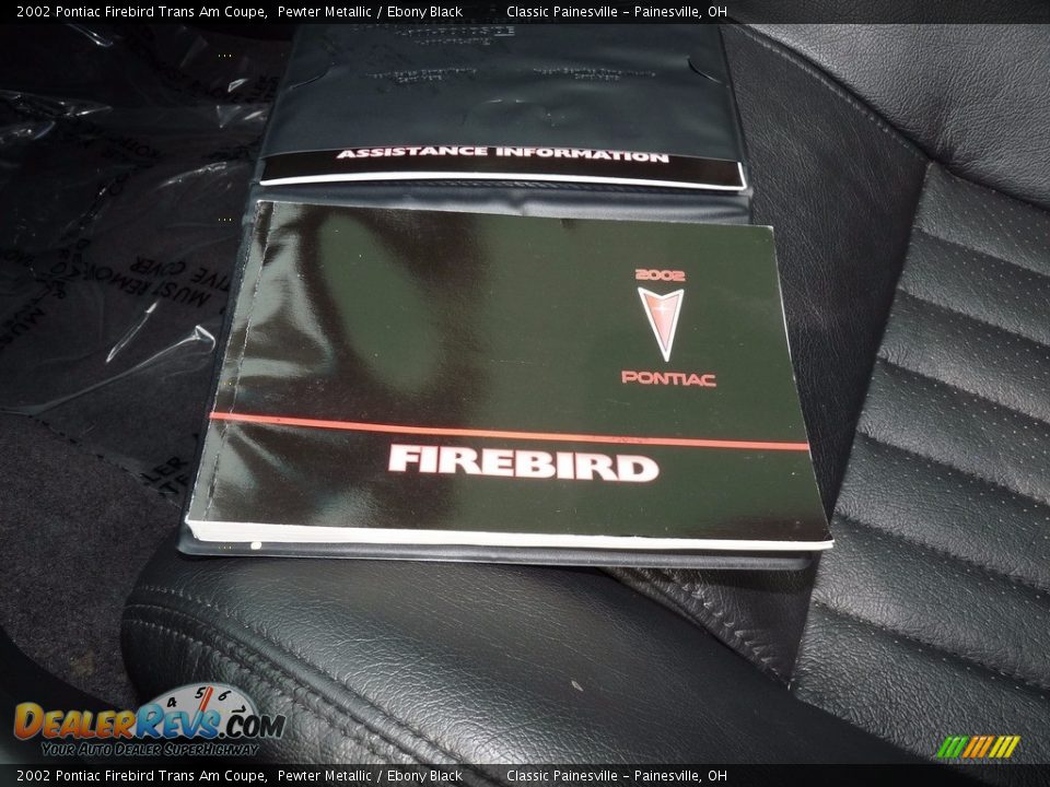 2002 Pontiac Firebird Trans Am Coupe Pewter Metallic / Ebony Black Photo #16
