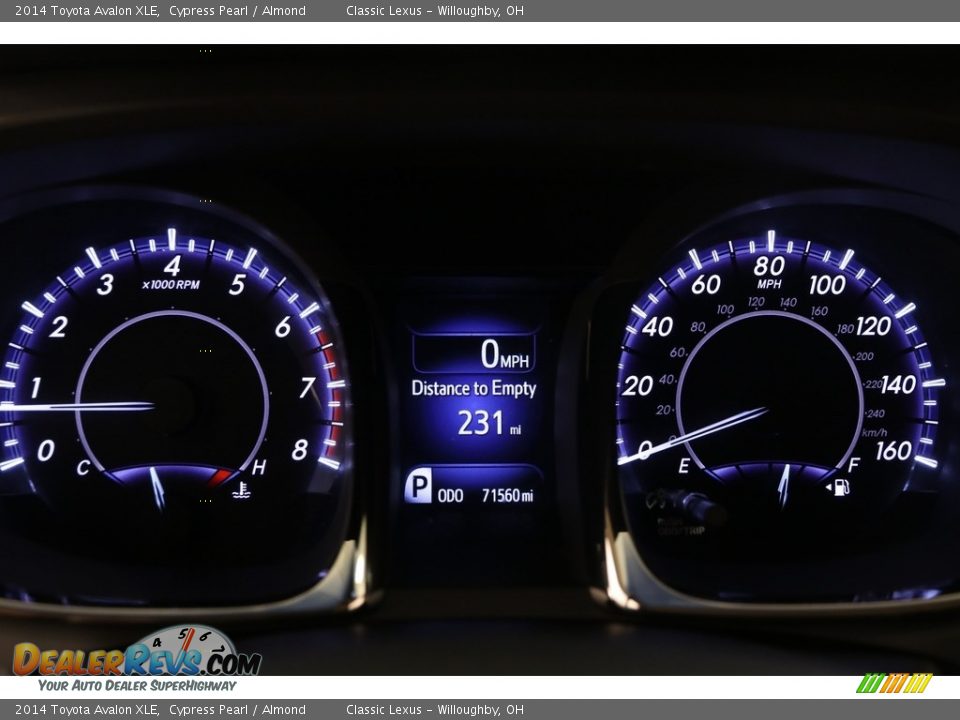 2014 Toyota Avalon XLE Cypress Pearl / Almond Photo #9