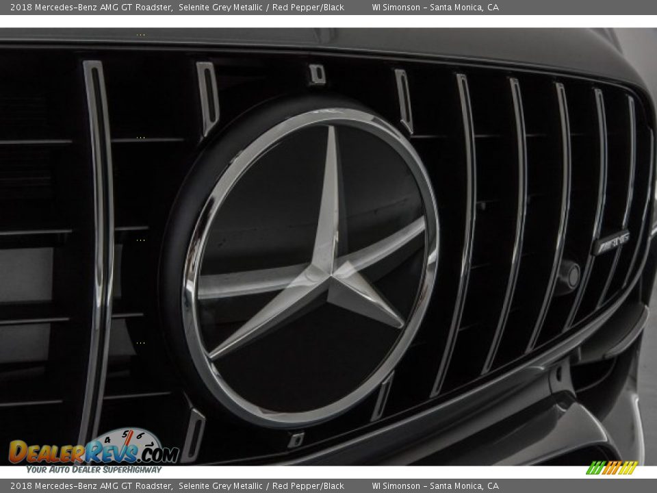 2018 Mercedes-Benz AMG GT Roadster Logo Photo #33