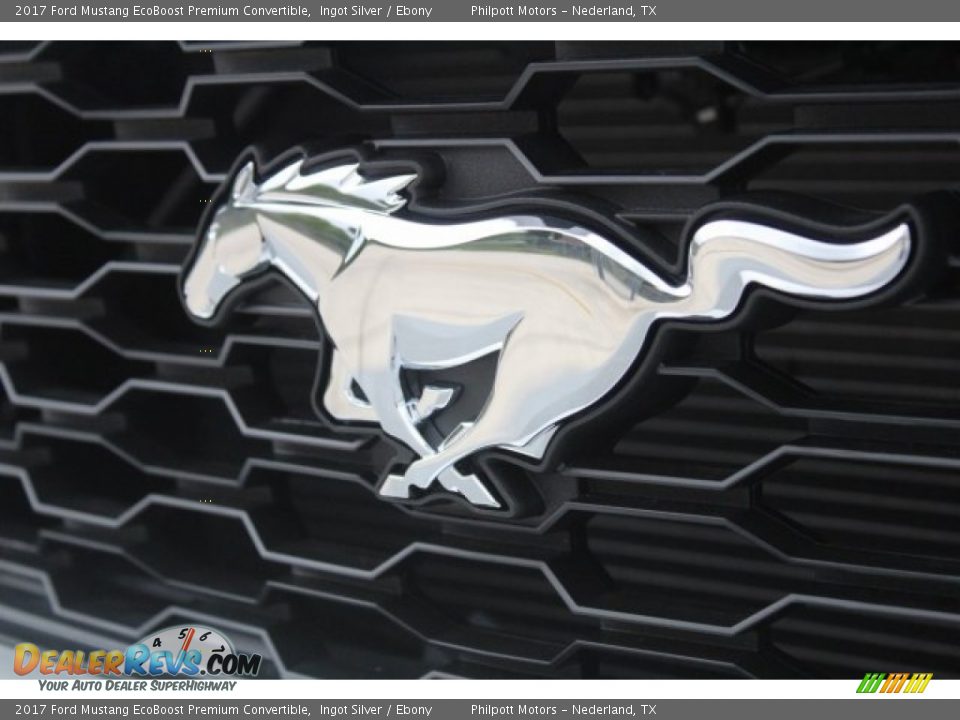 2017 Ford Mustang EcoBoost Premium Convertible Ingot Silver / Ebony Photo #3