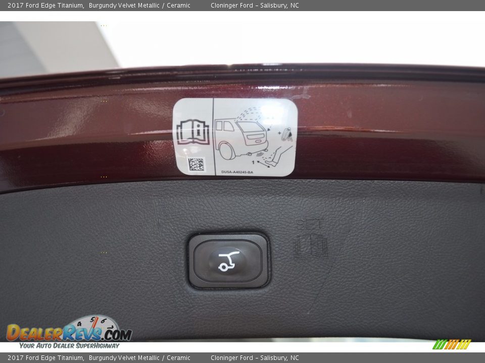 2017 Ford Edge Titanium Burgundy Velvet Metallic / Ceramic Photo #10