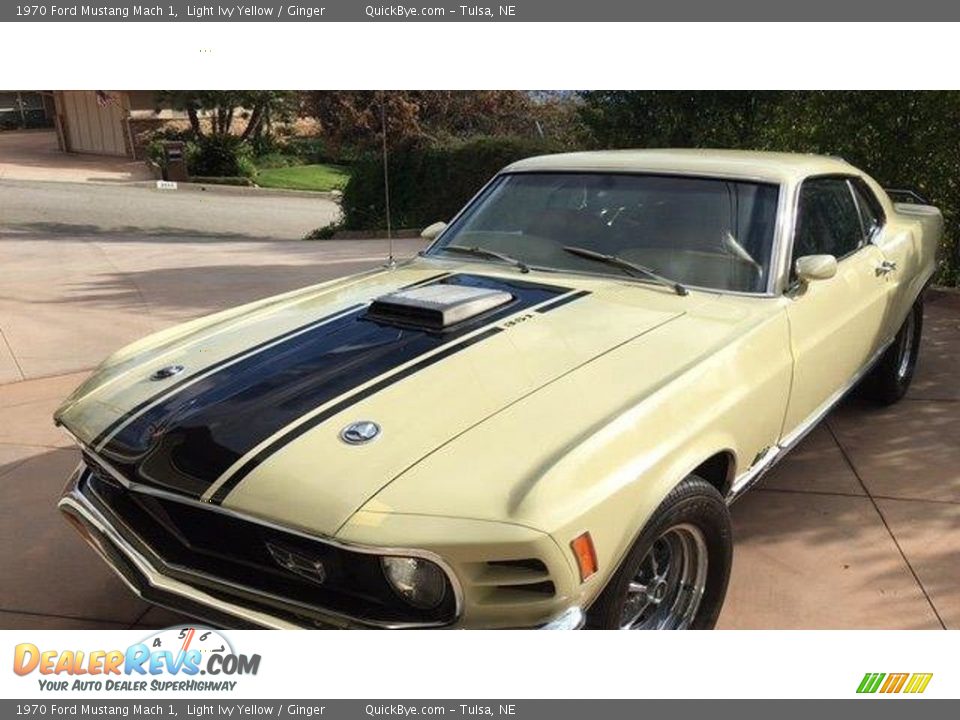 Front 3/4 View of 1970 Ford Mustang Mach 1 Photo #1