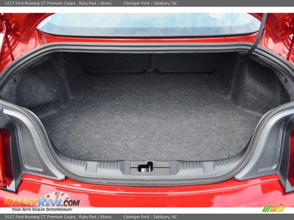 2017 Ford Mustang GT Premium Coupe Ruby Red / Ebony Photo #8