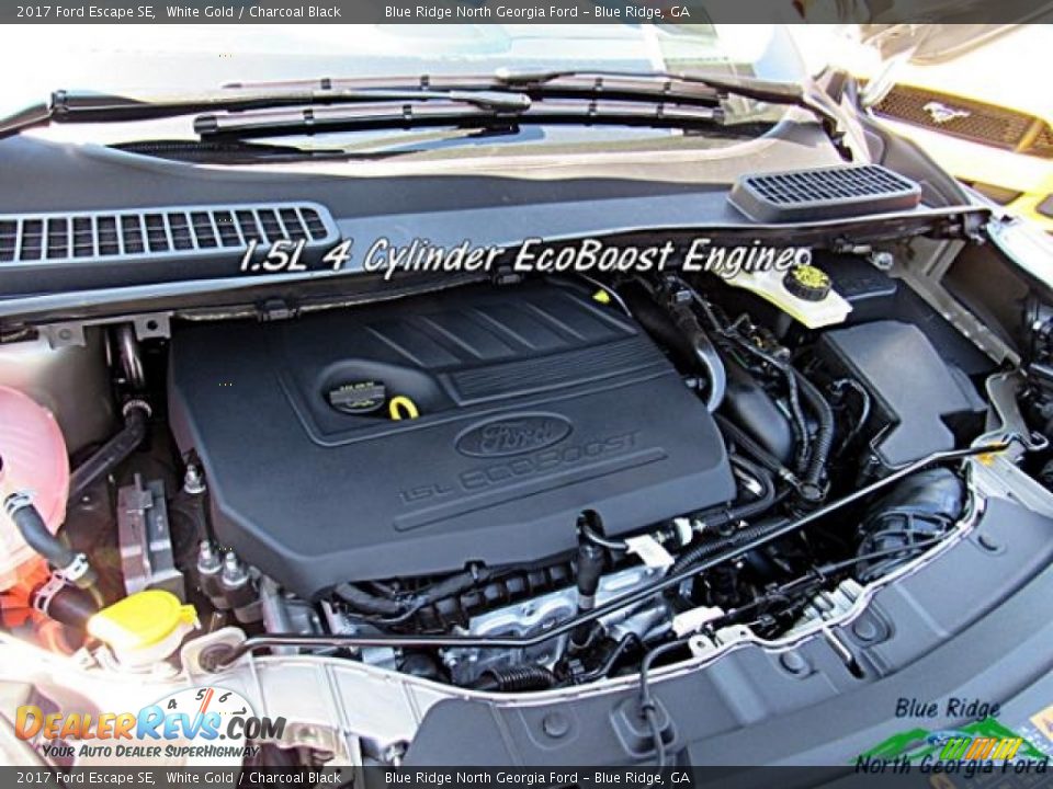 2017 Ford Escape SE White Gold / Charcoal Black Photo #10