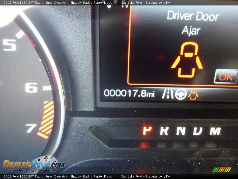 2018 Ford F150 SVT Raptor SuperCrew 4x4 Shadow Black / Raptor Black Photo #20