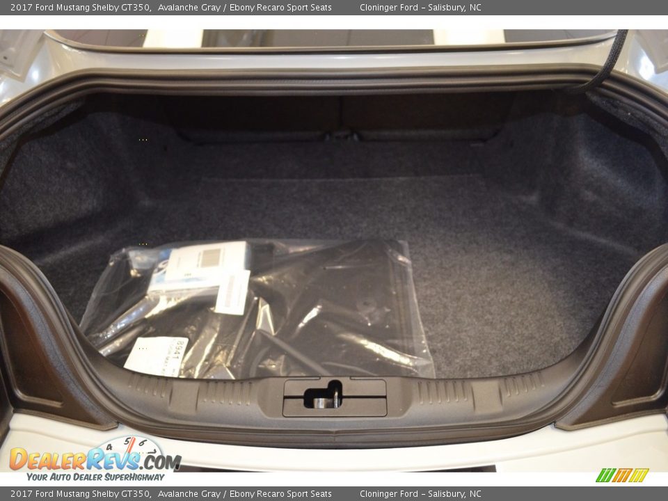 2017 Ford Mustang Shelby GT350 Avalanche Gray / Ebony Recaro Sport Seats Photo #12