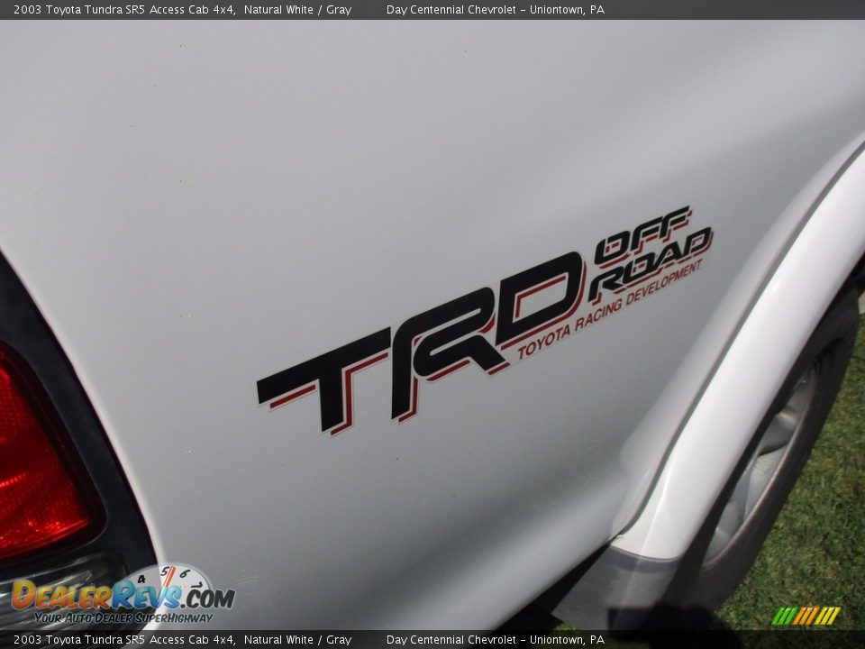2003 Toyota Tundra SR5 Access Cab 4x4 Natural White / Gray Photo #8
