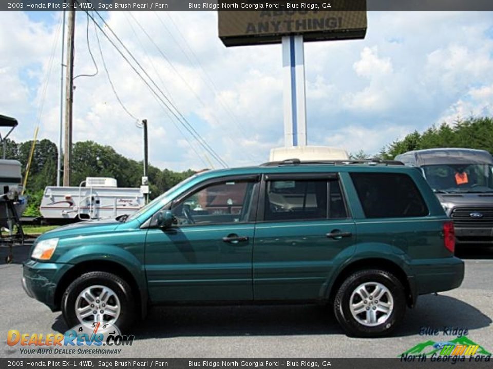 2003 Honda Pilot EX-L 4WD Sage Brush Pearl / Fern Photo #6