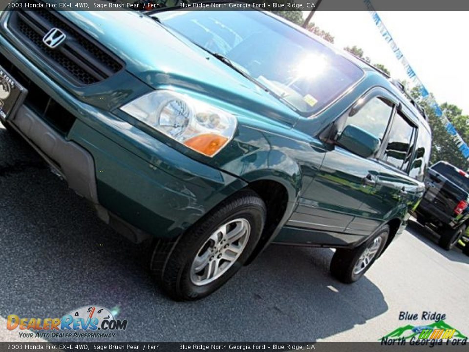 2003 Honda Pilot EX-L 4WD Sage Brush Pearl / Fern Photo #30