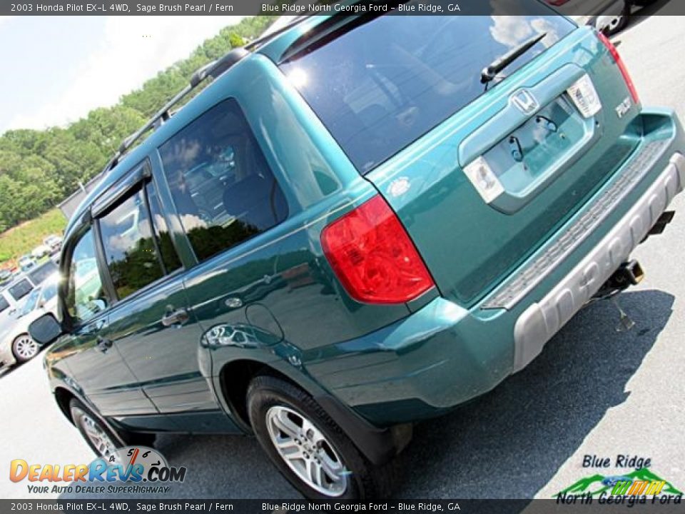 2003 Honda Pilot EX-L 4WD Sage Brush Pearl / Fern Photo #33