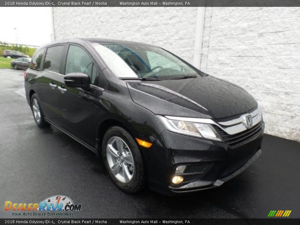 2018 Honda Odyssey EX-L Crystal Black Pearl / Mocha Photo #1