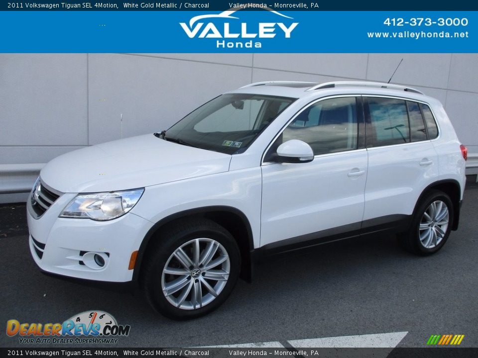 2011 Volkswagen Tiguan SEL 4Motion White Gold Metallic / Charcoal Photo #1