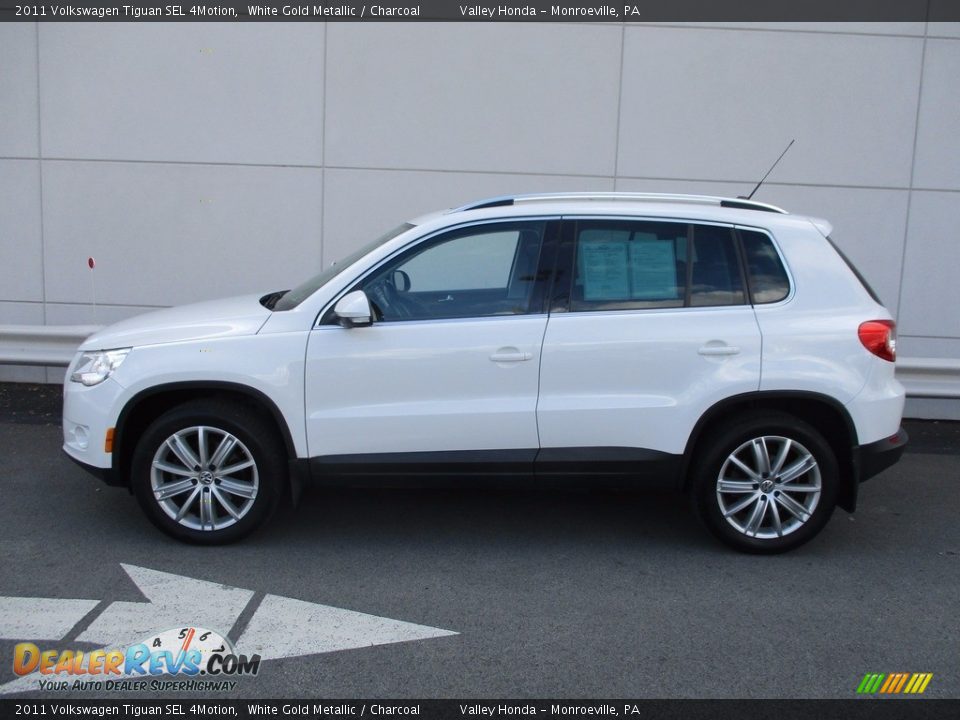 2011 Volkswagen Tiguan SEL 4Motion White Gold Metallic / Charcoal Photo #2