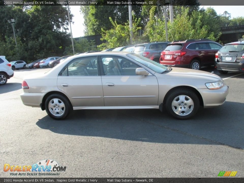 2001 Honda Accord EX V6 Sedan Naples Gold Metallic / Ivory Photo #6