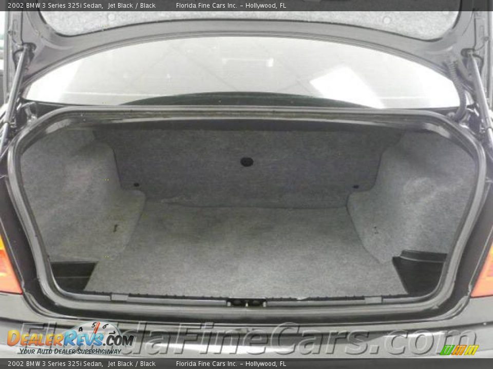 2002 BMW 3 Series 325i Sedan Jet Black / Black Photo #10