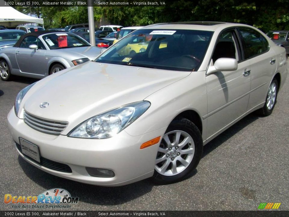 2002 Lexus ES 300 Alabaster Metallic / Black Photo #1