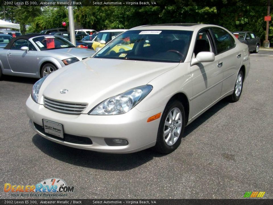 2002 Lexus ES 300 Alabaster Metallic / Black Photo #3
