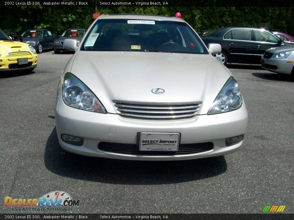 2002 Lexus ES 300 Alabaster Metallic / Black Photo #4