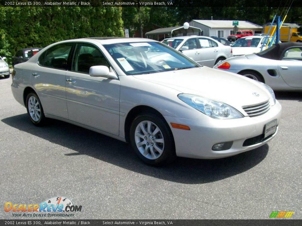 2002 Lexus ES 300 Alabaster Metallic / Black Photo #5