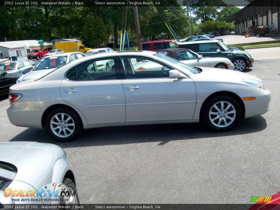 2002 Lexus ES 300 Alabaster Metallic / Black Photo #6