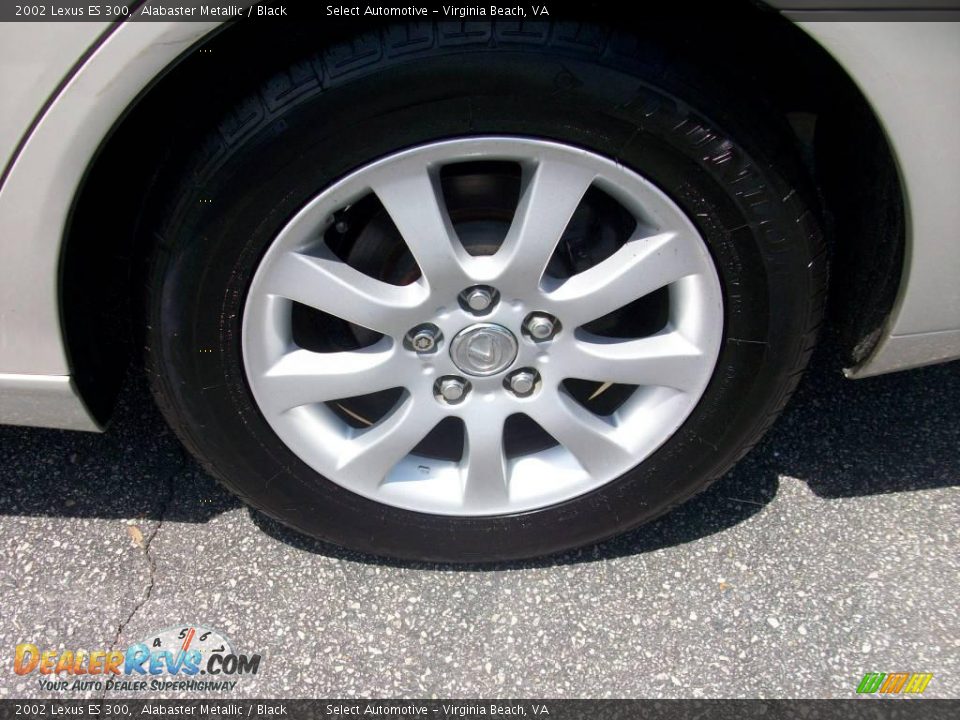 2002 Lexus ES 300 Alabaster Metallic / Black Photo #29