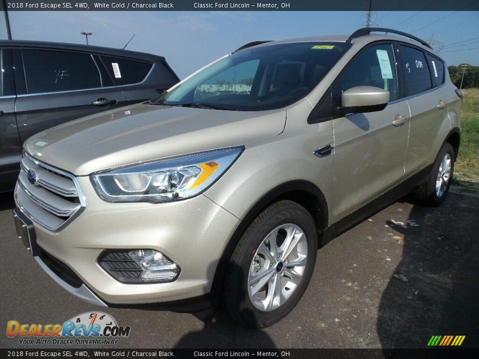 Front 3/4 View of 2018 Ford Escape SEL 4WD Photo #1