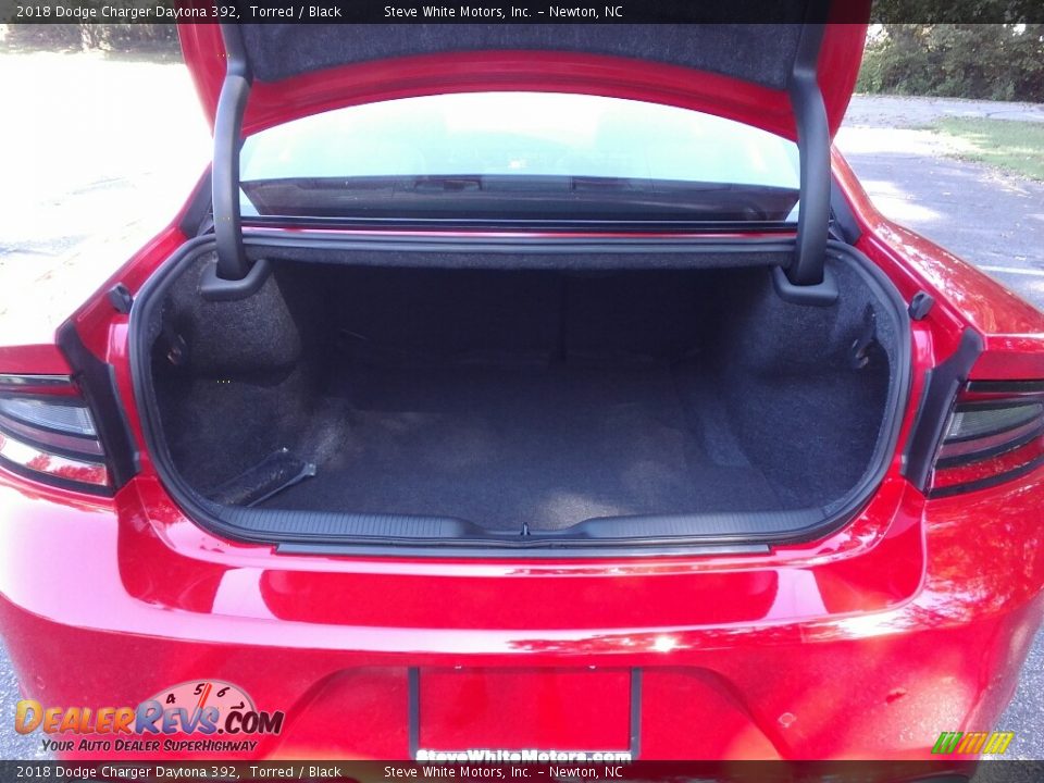 2018 Dodge Charger Daytona 392 Torred / Black Photo #13