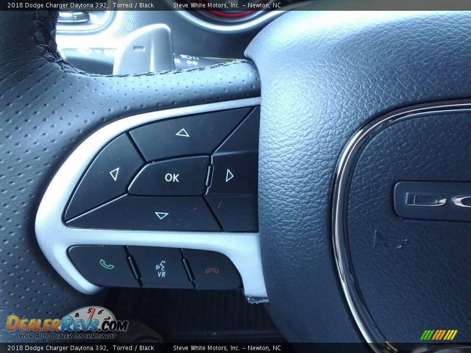 2018 Dodge Charger Daytona 392 Torred / Black Photo #19