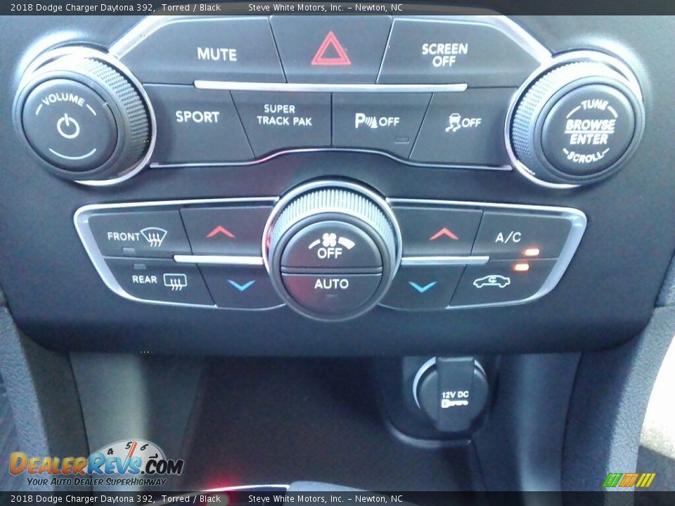 2018 Dodge Charger Daytona 392 Torred / Black Photo #30
