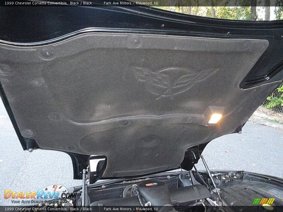 1999 Chevrolet Corvette Convertible Black / Black Photo #34