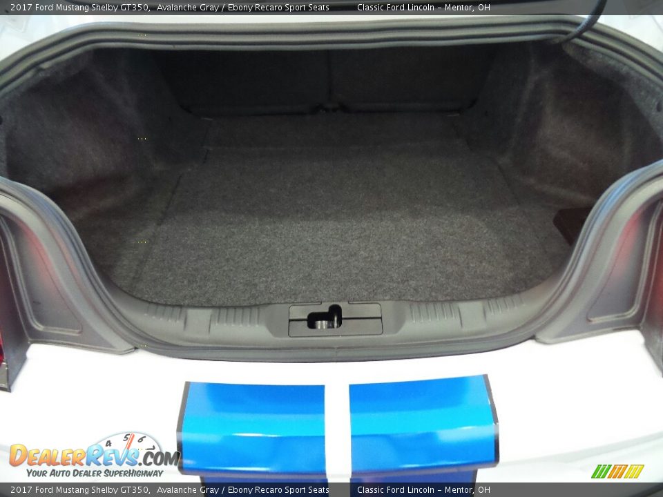 2017 Ford Mustang Shelby GT350 Trunk Photo #11