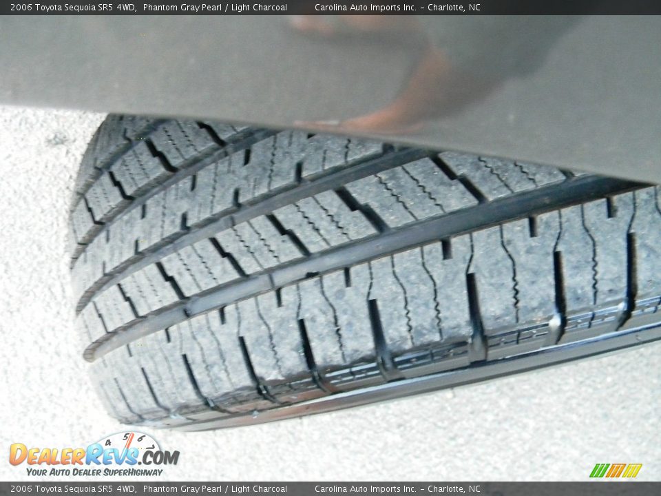 2006 Toyota Sequoia SR5 4WD Phantom Gray Pearl / Light Charcoal Photo #27