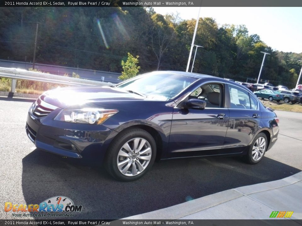 2011 Honda Accord EX-L Sedan Royal Blue Pearl / Gray Photo #6