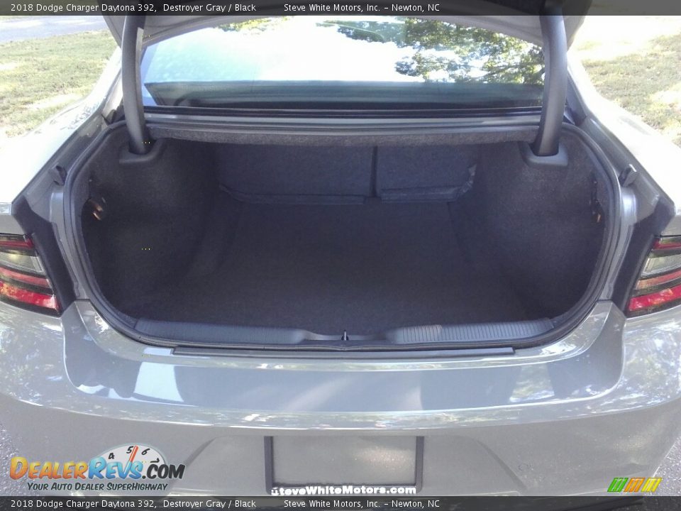 2018 Dodge Charger Daytona 392 Destroyer Gray / Black Photo #11