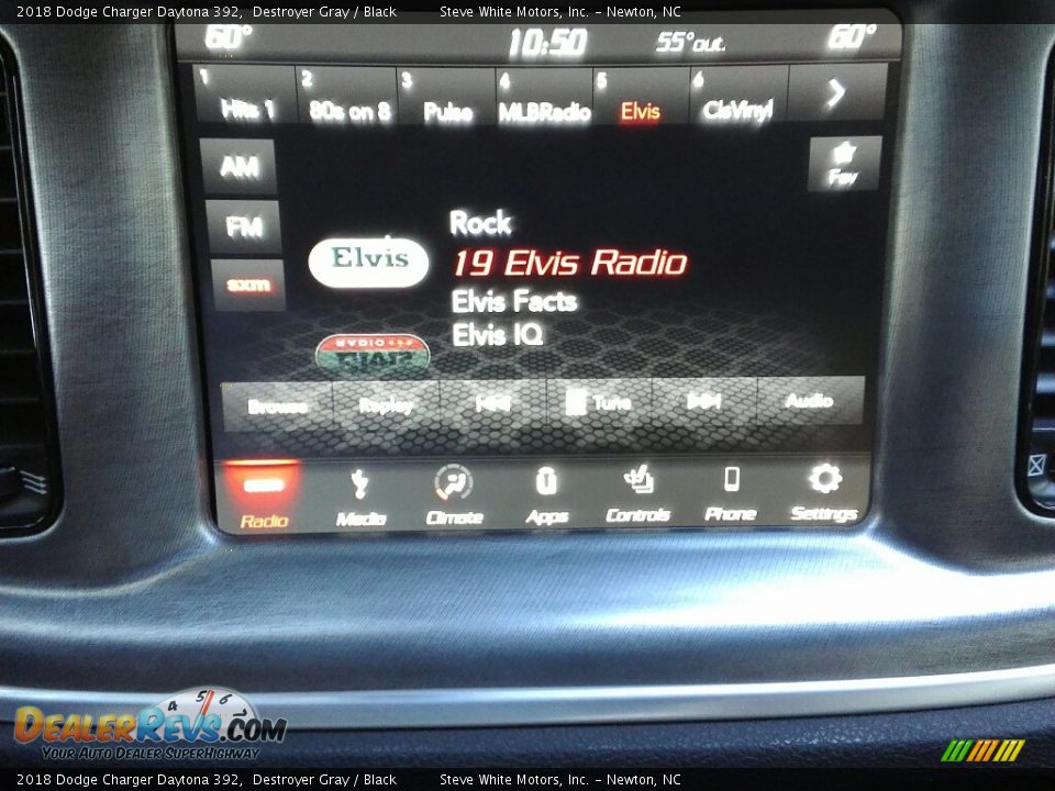 2018 Dodge Charger Daytona 392 Destroyer Gray / Black Photo #20