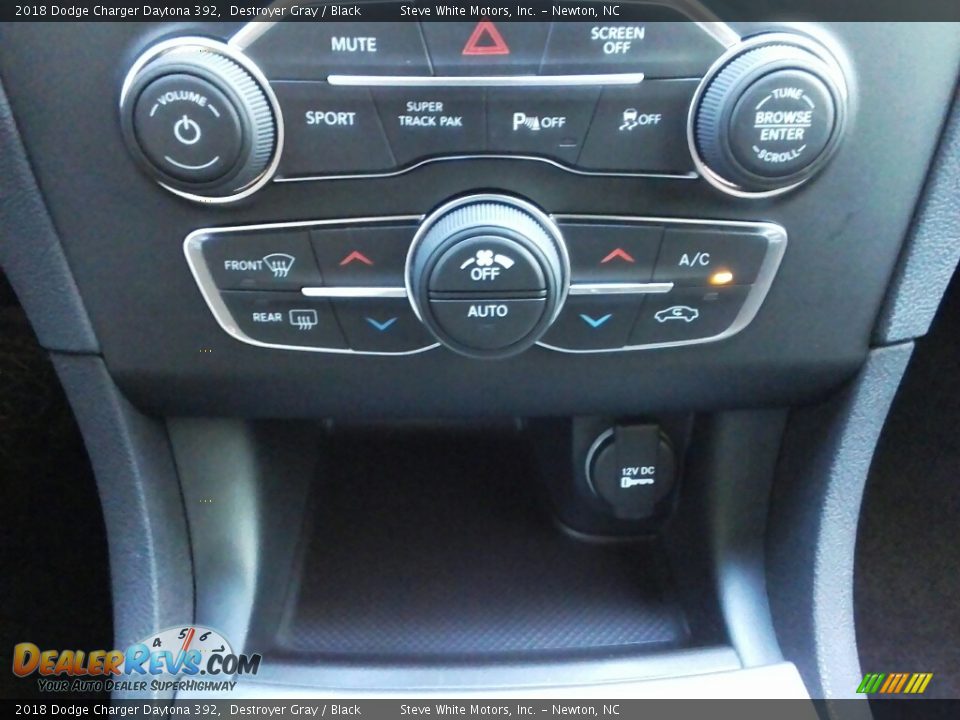 2018 Dodge Charger Daytona 392 Destroyer Gray / Black Photo #28