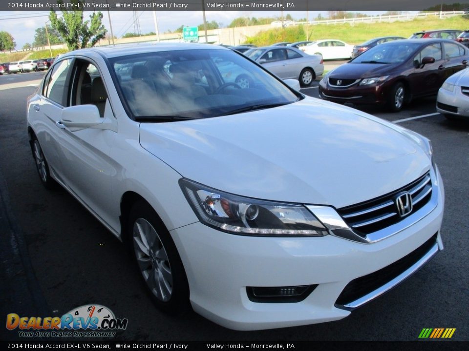 2014 Honda Accord EX-L V6 Sedan White Orchid Pearl / Ivory Photo #7