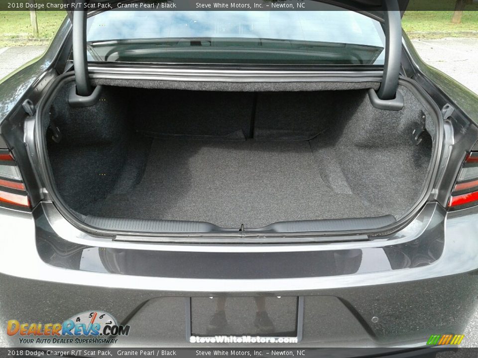 2018 Dodge Charger R/T Scat Pack Granite Pearl / Black Photo #12