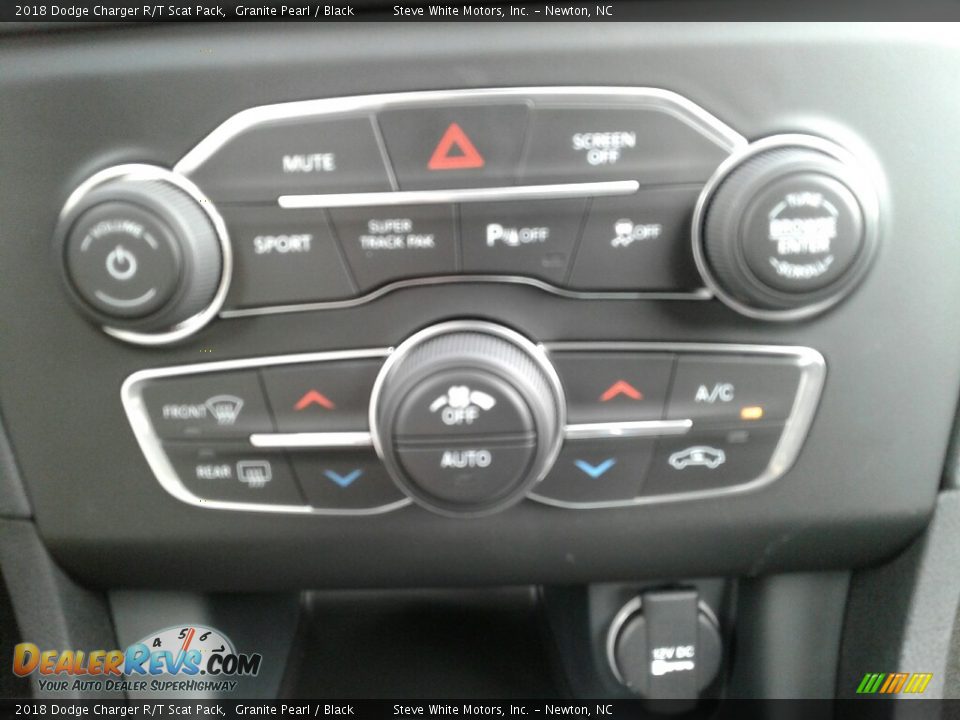 2018 Dodge Charger R/T Scat Pack Granite Pearl / Black Photo #28